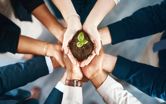 Changzhou Baonong Yeni Malzeme Teknolojisi Co, Ltd.